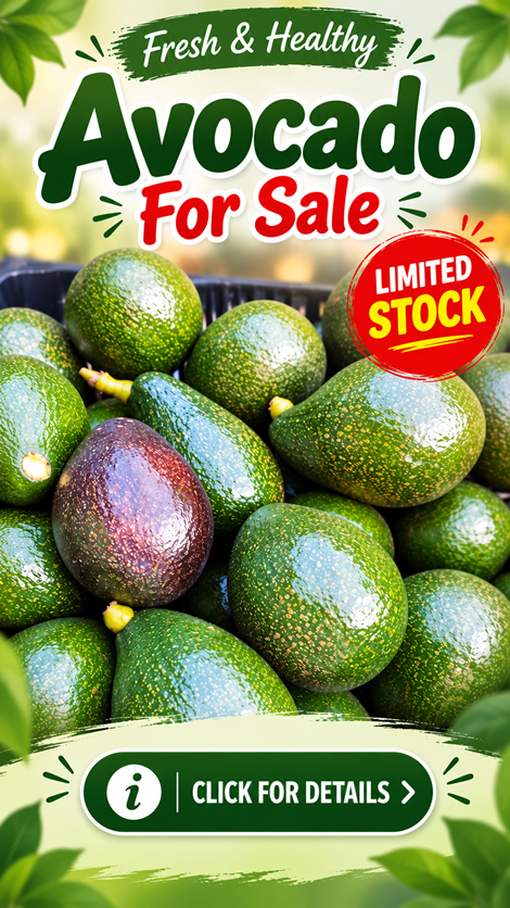 Home Grown Avacodo